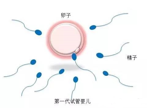 生殖中心